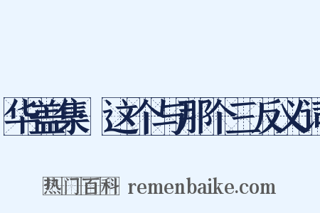 华盖集·这个与那个三反义词是什么意思的图片